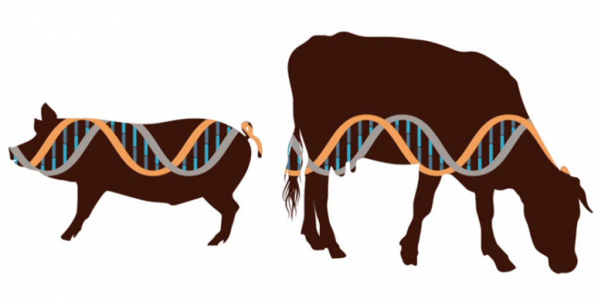 Animal Genetics Market Drivers and Factors Driving Its Rapid Growth in 2025