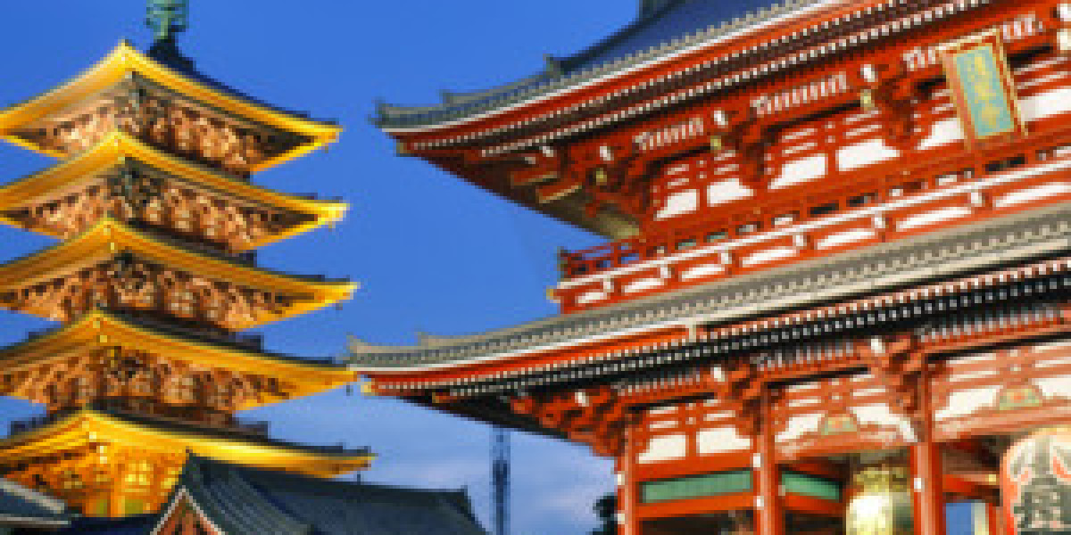 Tokyo Private Tours: Customized Experiences Beyond Compare