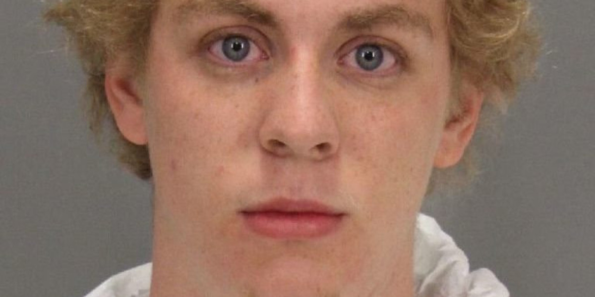 What is happening with the Brock Turner case now?