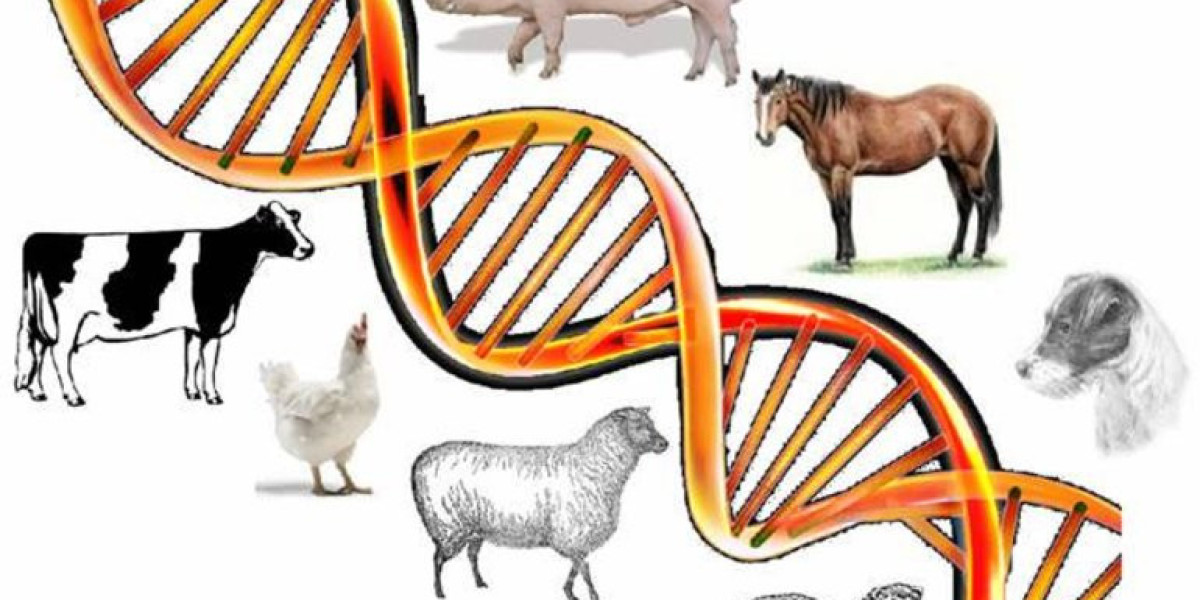 Animal Genetics Market Future Trends Shaping Sustainable Livestock Breeding Practices