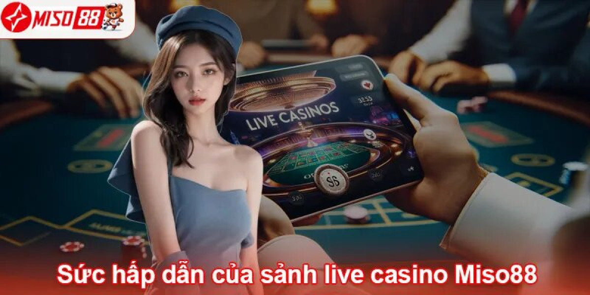 Unlock Loyalty Benefits on Miso88 Today