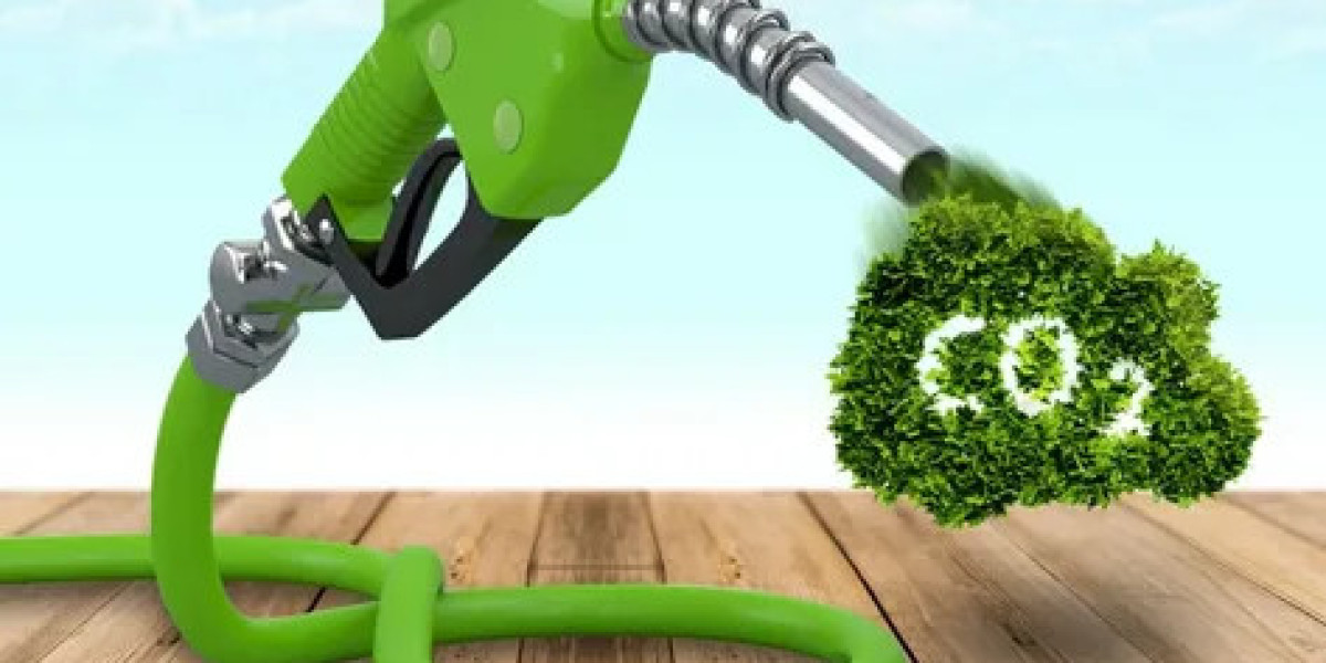 Biofuel Testing Services Market Data Analytics Trends: Understanding Key Shifts in Industry Applications