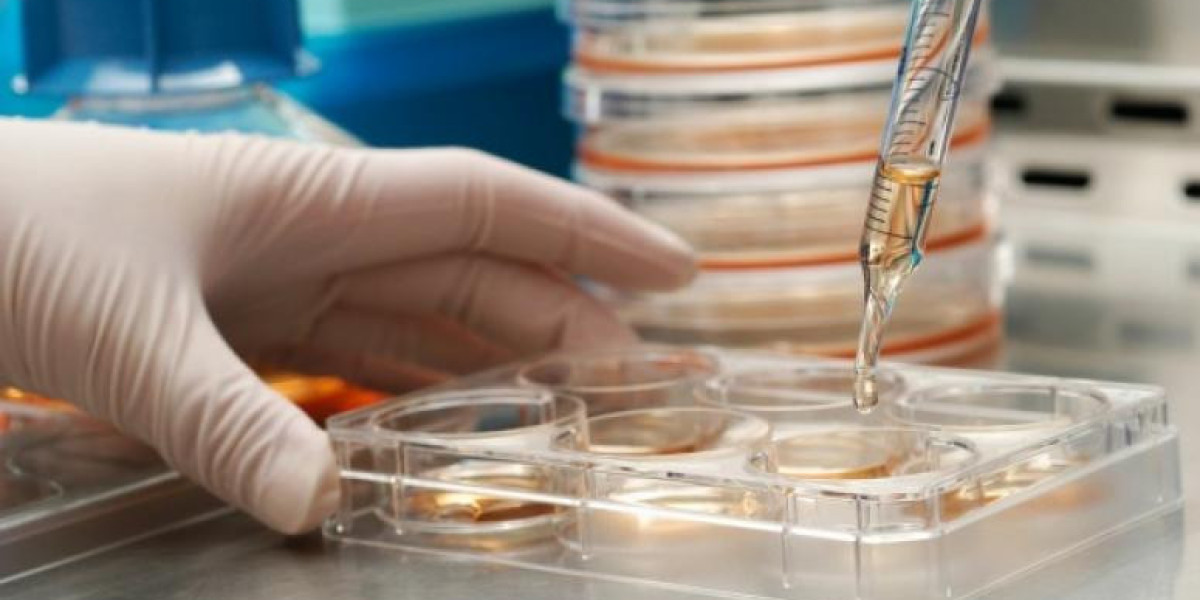 In Vitro Diagnostics Test Kit Market Scopes: Innovations in Molecular and Genetic Diagnostics