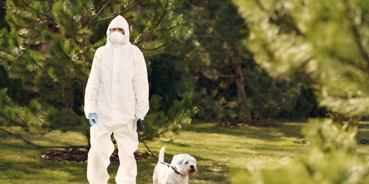 Exploring the Global Animal Disinfectants Market: Key Drivers and Future Outlook