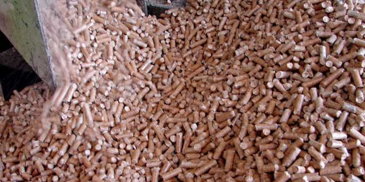 Animal Probiotics Market Analysis of Key Drivers and Market Dynamics
