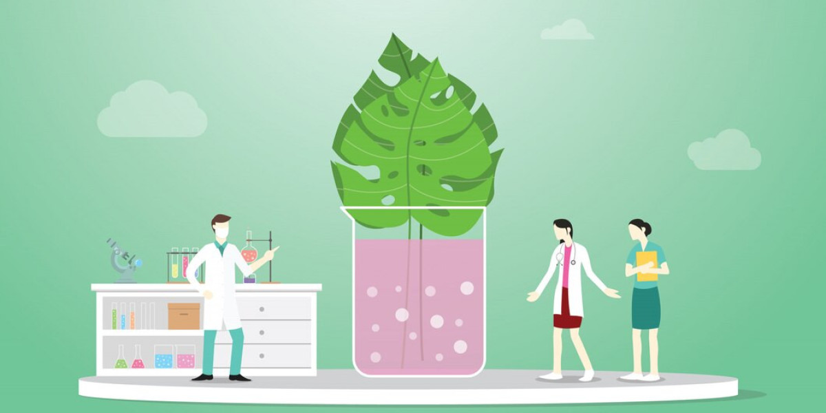 Mold Remediation Service Market: Industry Trends, Growth Factors, and Forecast Analysis
