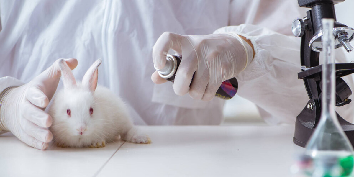 Animal Parasiticides Market Key Drivers Influencing Market Trends and Development