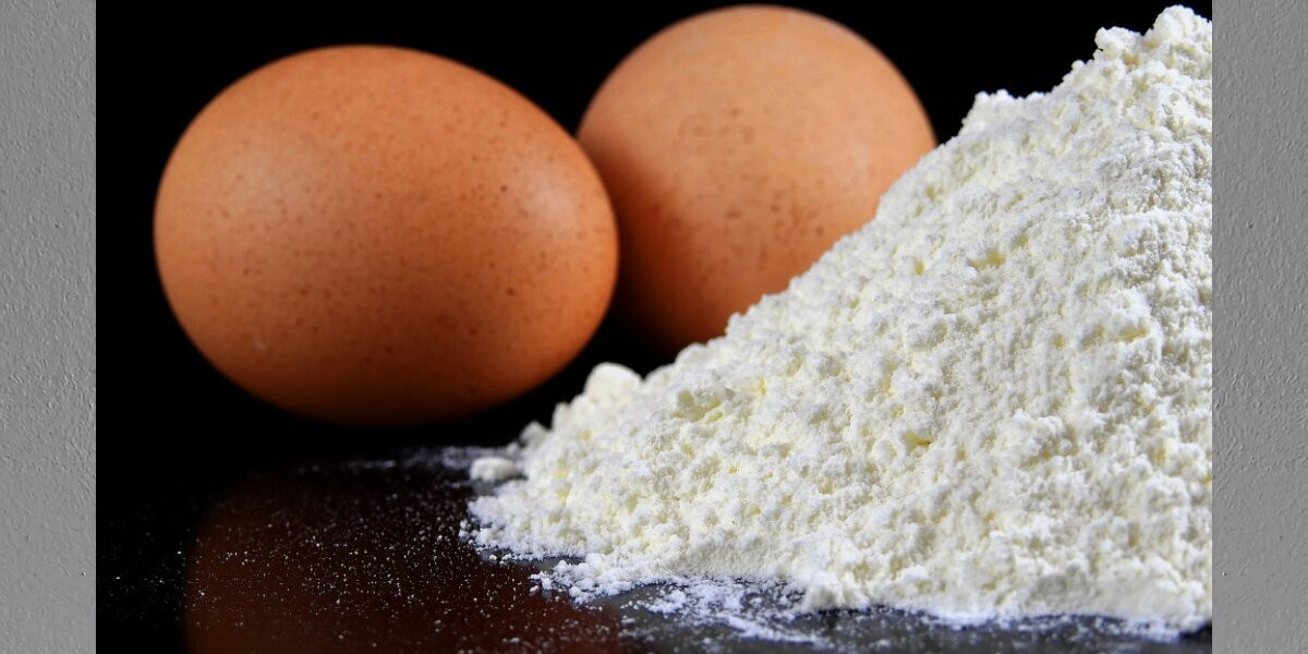 Dried Eggs Market Faces Unique Challenges Amid Rising Demand for Protein-Rich, Shelf-Stable Products Globally