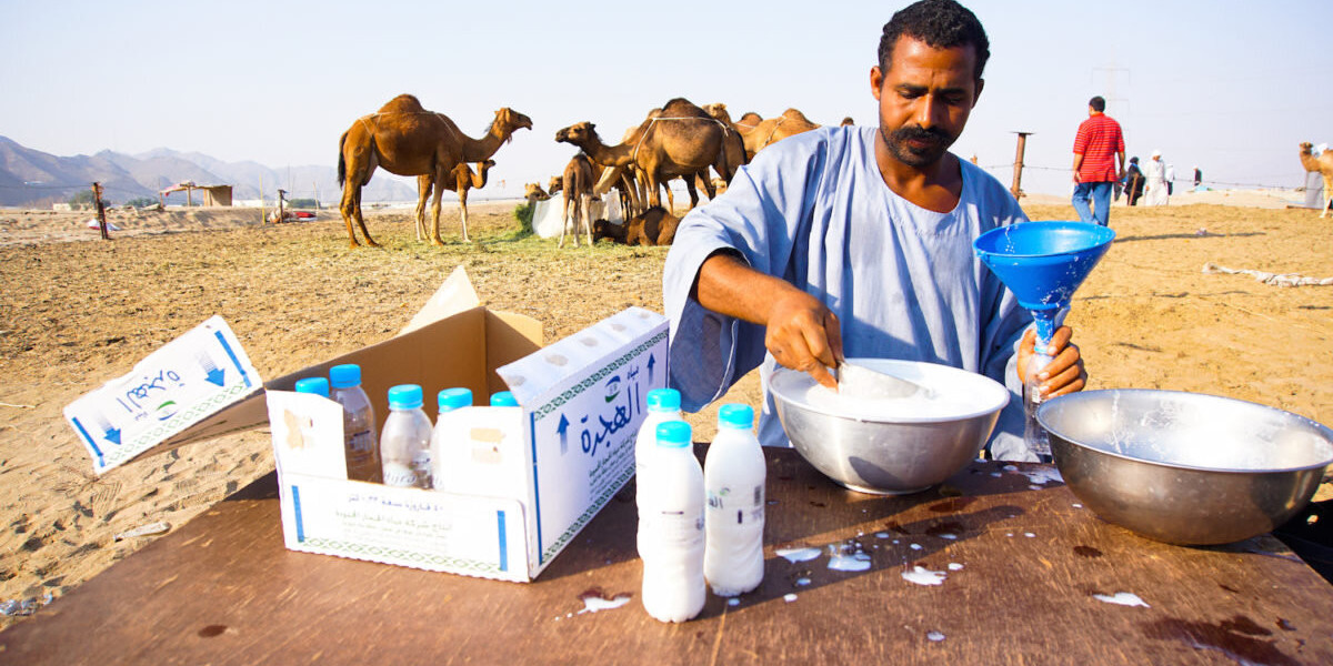 Camel Milk Market: Pricing Trends Highlighting Growth Drivers and Consumer Demand Across Regions