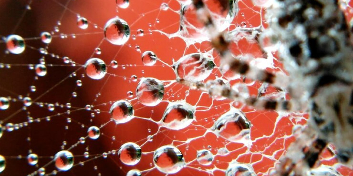 What Are Induced Pluripotent Stem Cells, and Why Is Their Production Market Growing?