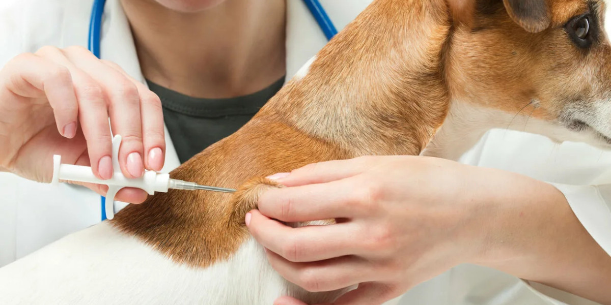 Animal Parasiticides Market Future Directions in Natural and Sustainable Treatments