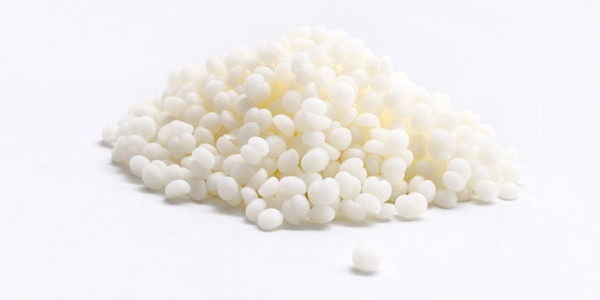 Behenyl Alcohol Market Transforming Cosmetics and Pharmaceutical Industries Globally