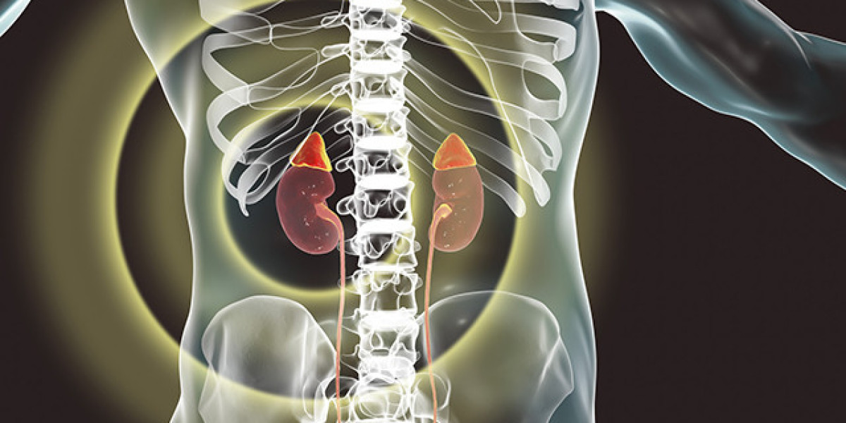 Congenital Adrenal Hyperplasia Diagnosis Market Trends & Insights 2025