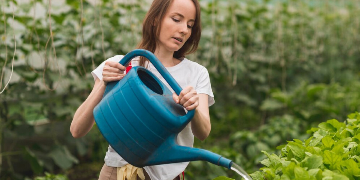 Liquid Fertilizers Market Addressing Affordability and Environmental Constraints