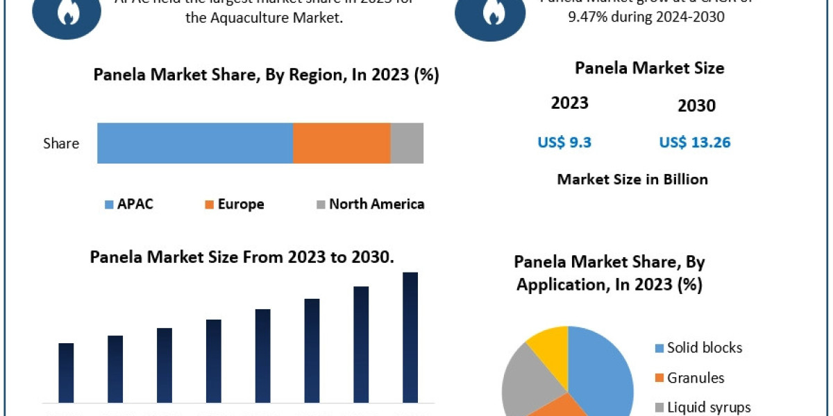 Panela Market Outlook: Key Trends and Future Growth by 2030