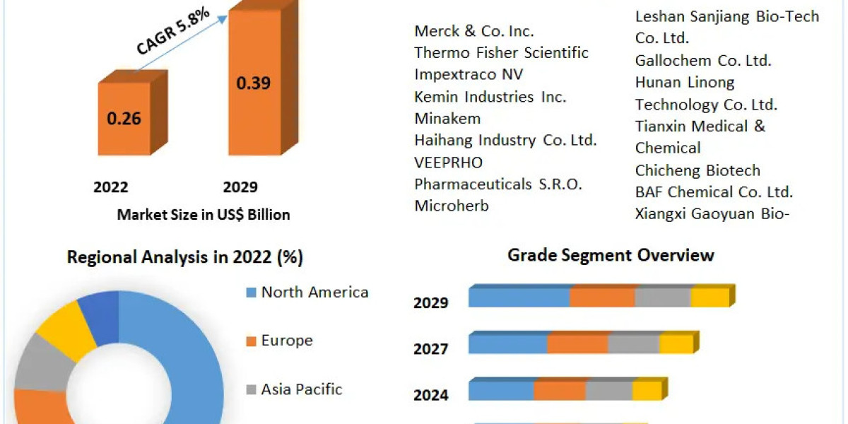Global Propyl Gallate Market Growth Driven by Food and Cosmetic Industries