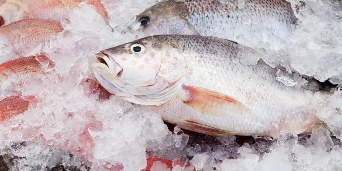 Frozen Seafood Market Technological Advancements: Exploring Rapid Freezing, Automation, Sustainability, and Consumer Dem