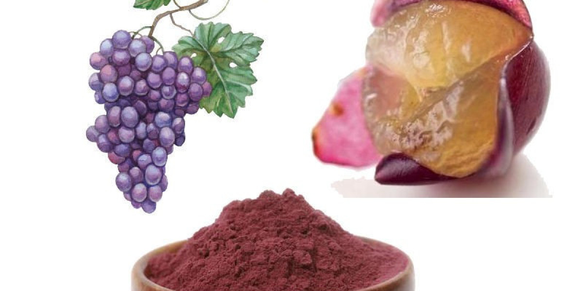 Grape Skin Extract Market Future Trends Highlighting Innovation And Sustainability In The Industry