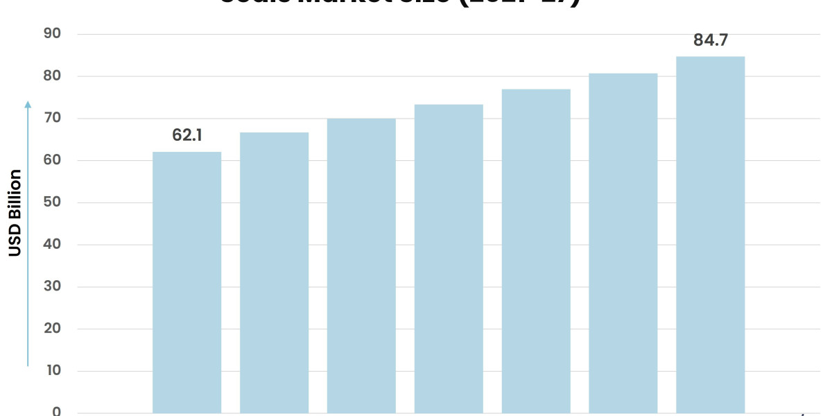 Understanding the Dynamics of the Seals Market: Challenges and Opportunities