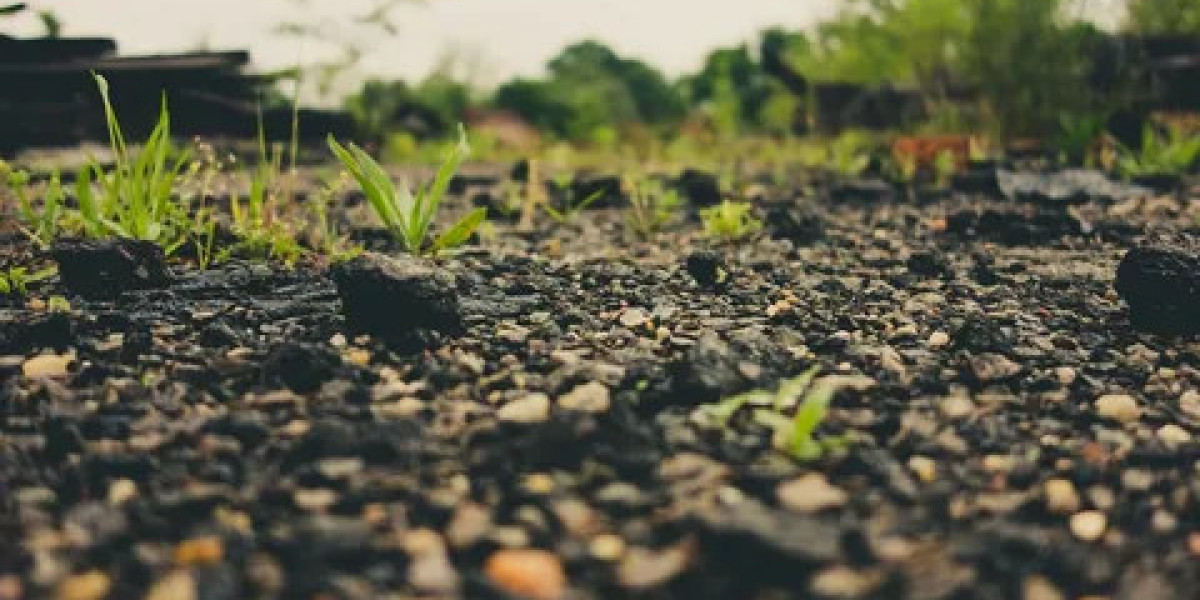 Plant Growth Regulators Market Threats from Intellectual Property Issues