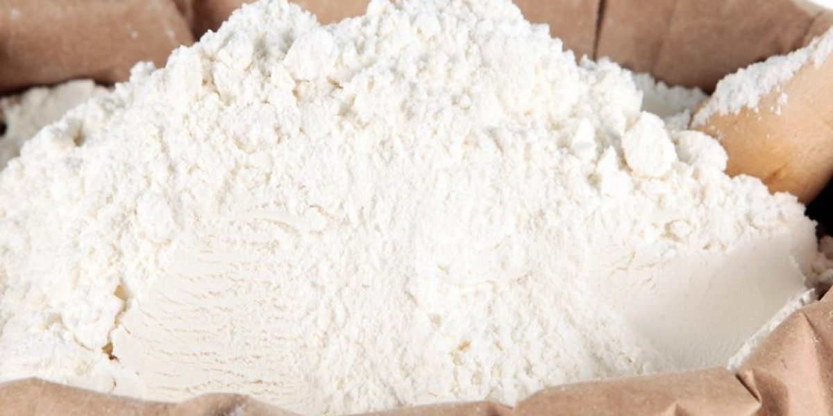 Native Starch Market Future Trends and Its Impact on Key Industries