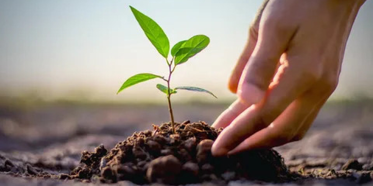 Plant Growth Regulators Market Hinderances Environmental and Health Risks Limiting Market Growth