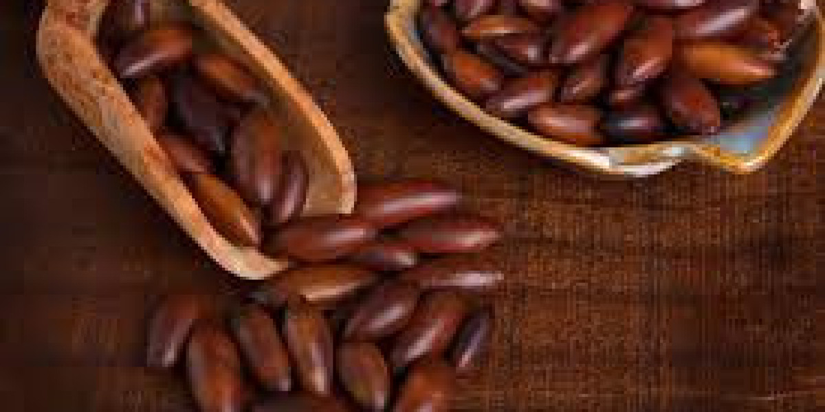 Baru Nuts Market Innovations and Trends to Watch in the Coming Years