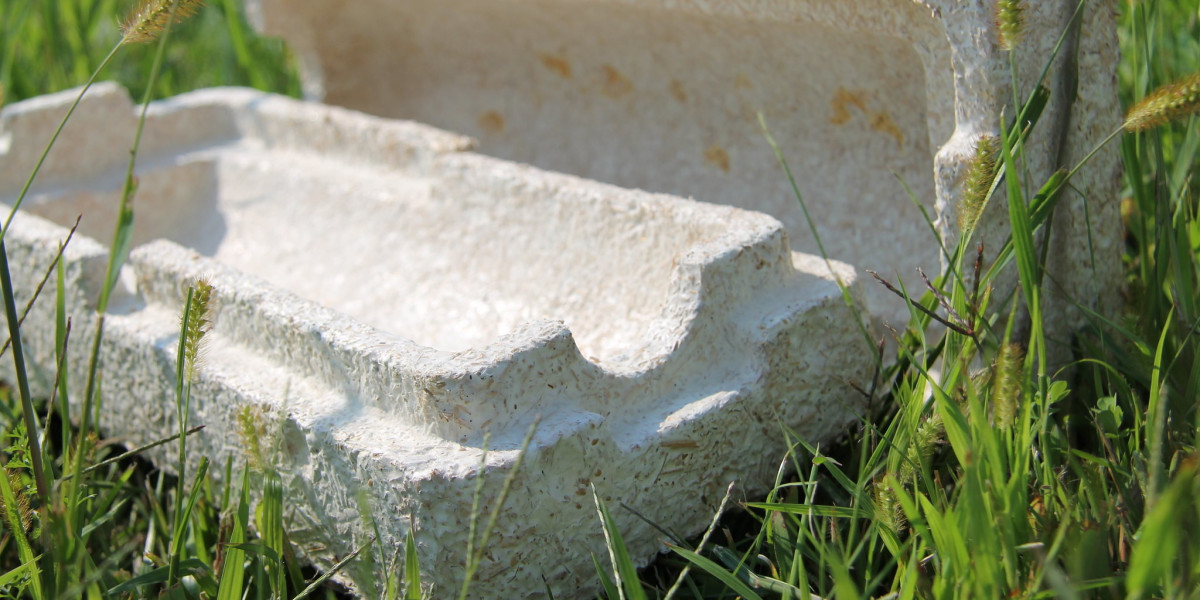 Mushroom Packaging Market Trends and Consumer Behavior Shaping a Sustainable Packaging Revolution for Businesses Worldwi