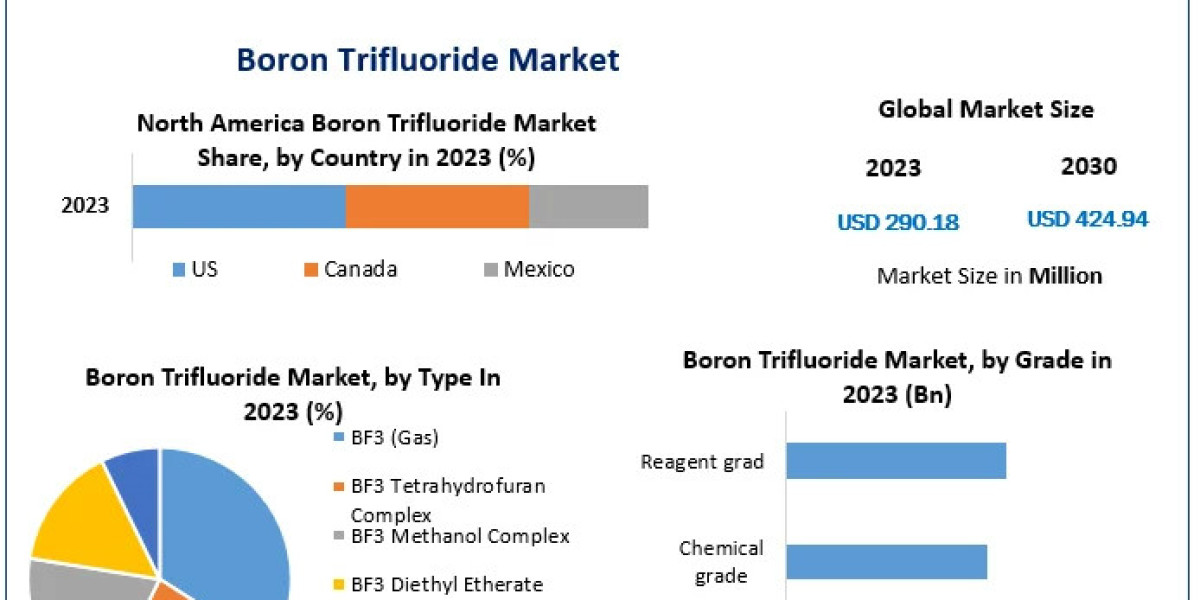 Boron Trifluoride Statistics: Current Market Size and Growth Forecast to 2030