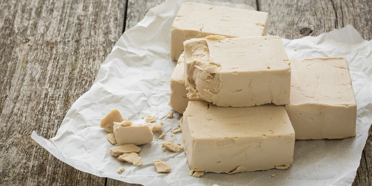 Compressed Yeast Market Future Trends and Key Innovations in the Food Industry
