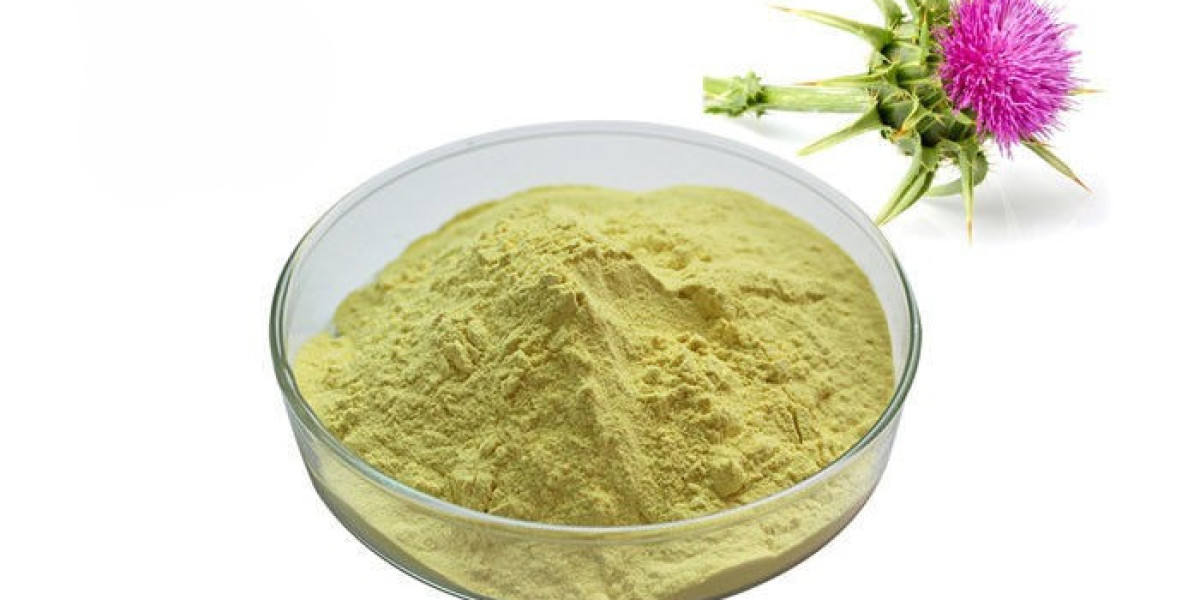 Milk Thistle Supplements Market Future Outlook Reflecting Rising Demand for Natural and Organic Products