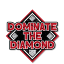 Essential Tips for New Youth Baseball Coaches: Overcoming Common Challenges | by Dominate The Diamond | Feb, 2025 | Medium