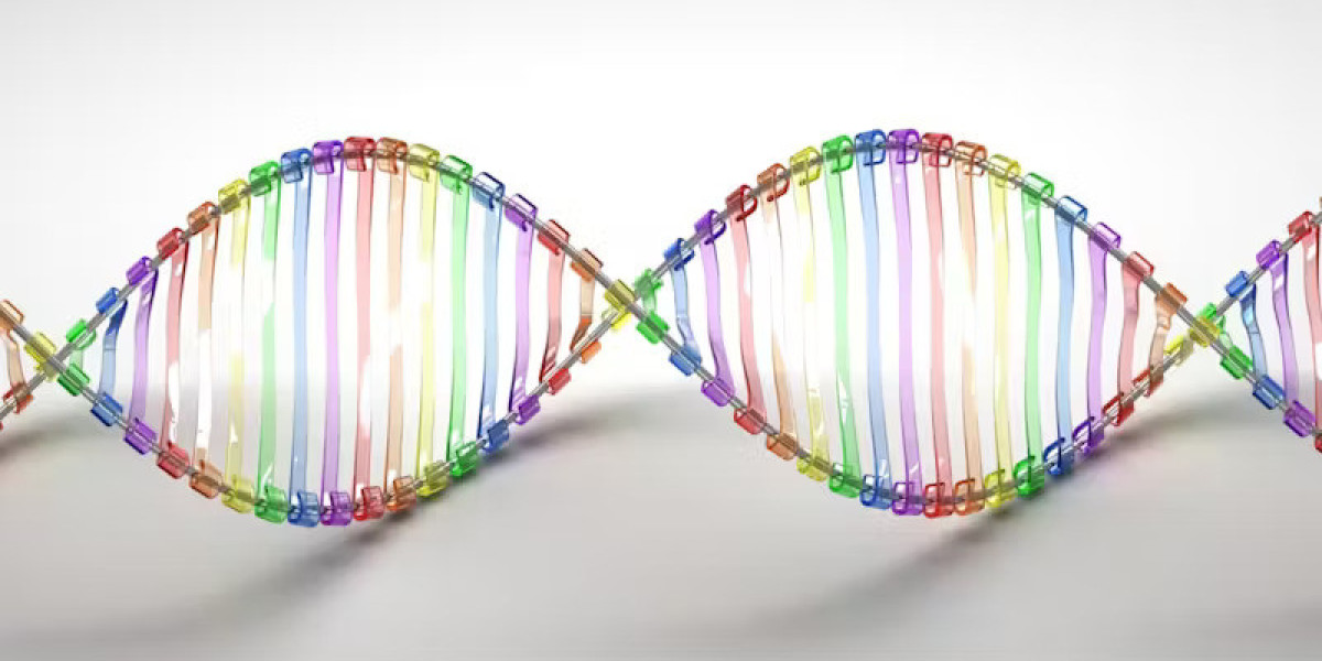 DNA Methylation Sequencing Market Overview | Latest Innovations 2025
