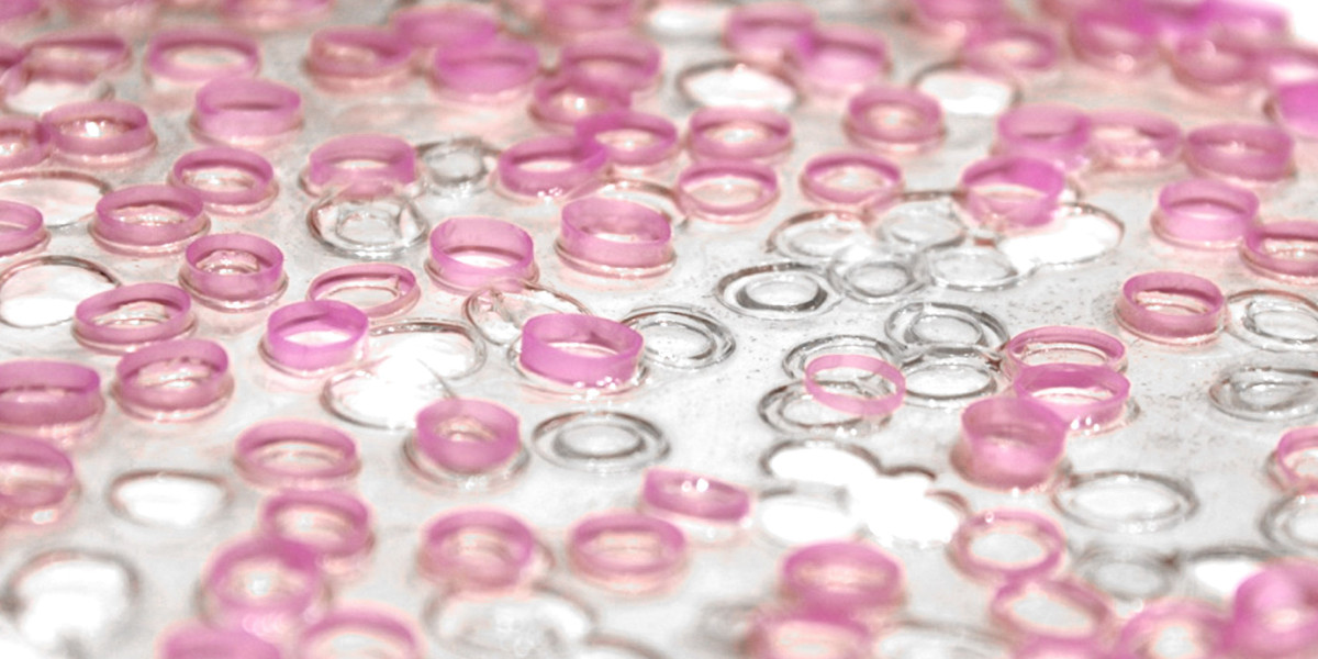 Bioplastic Textiles Market Expected to Experience Significant Growth in the Coming Years