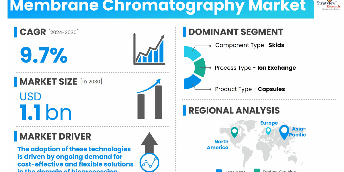 Membrane Chromatography Market Trends: What to Expect in the Coming Years