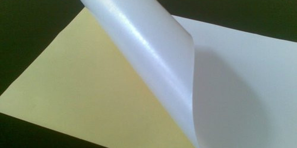 PE Coated Sack Kraft Paper Market: A Sustainable Packaging Solution Gaining Popularity Across Industries.
