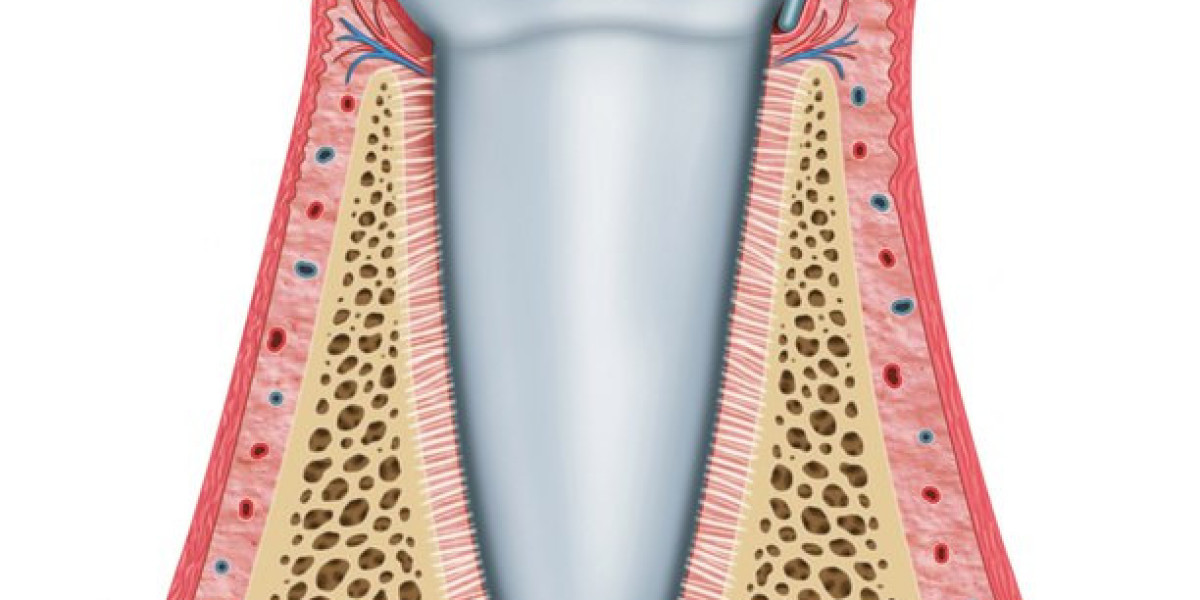 Tooth Regeneration Market Intelligence Gene Editing Technologies Revolutionizing Tooth Regrowth