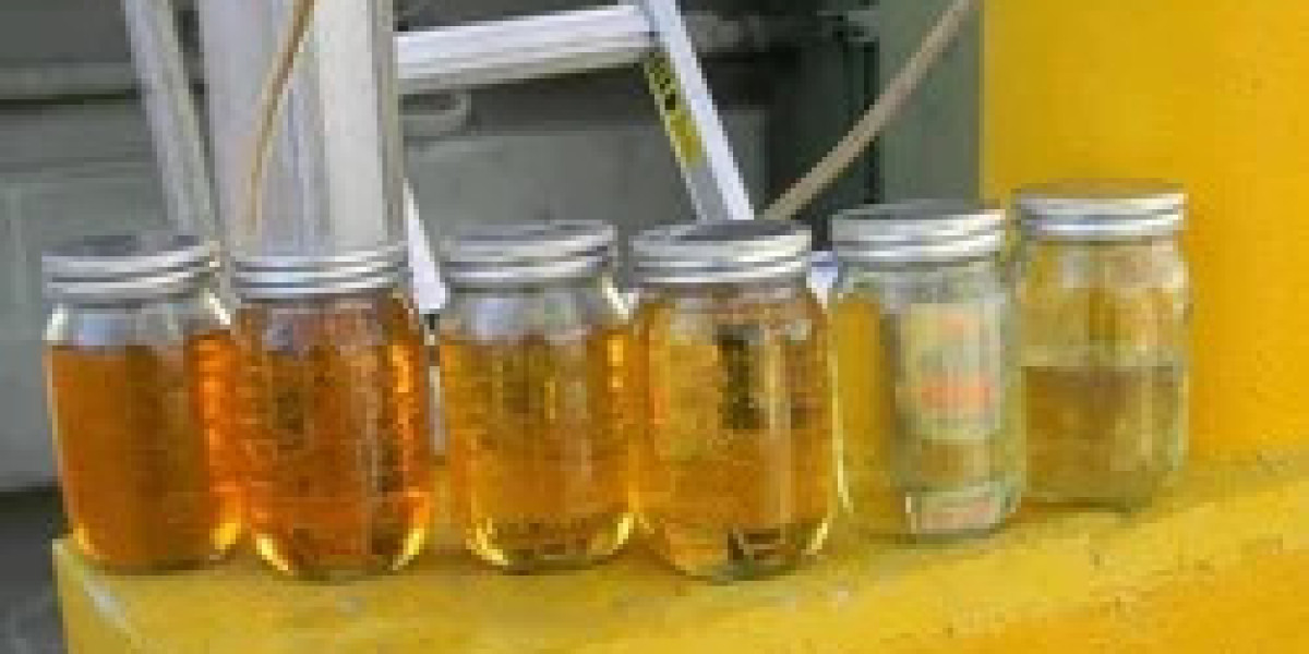 Transformer Oil Market Growth: Driving Factors and Product Popularity in the Global Energy Sector