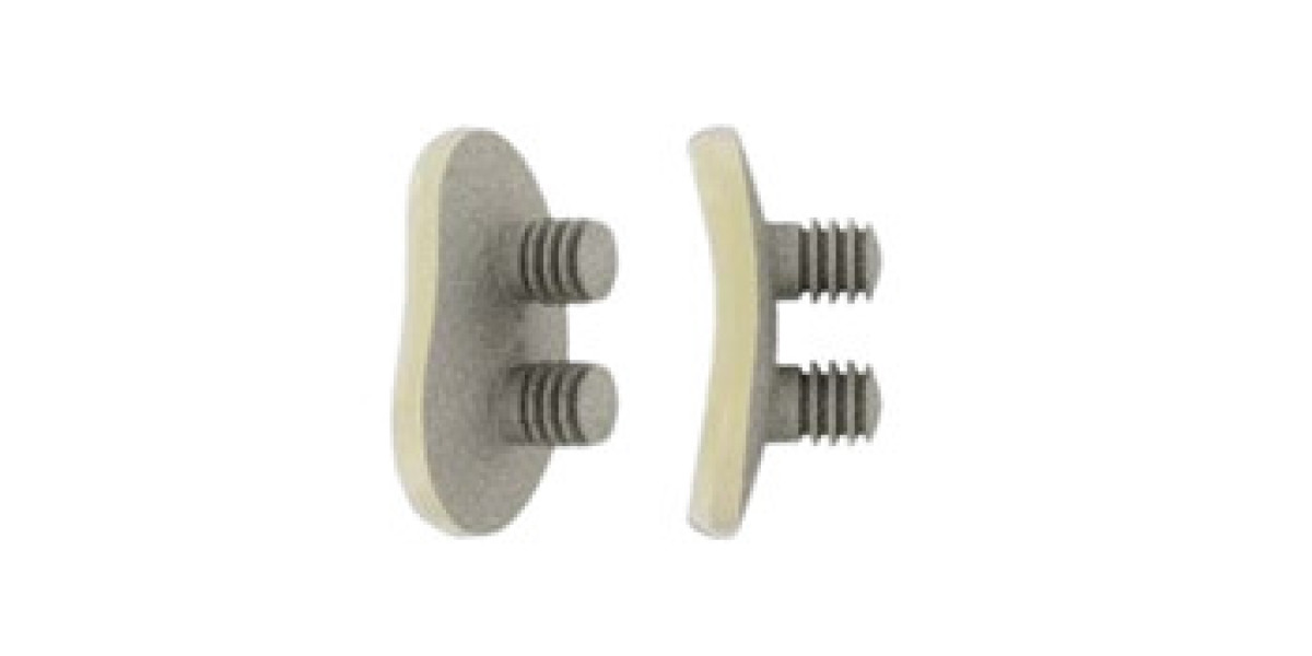 Global Endoprosthesis Market: Challenges & Opportunities Ahead