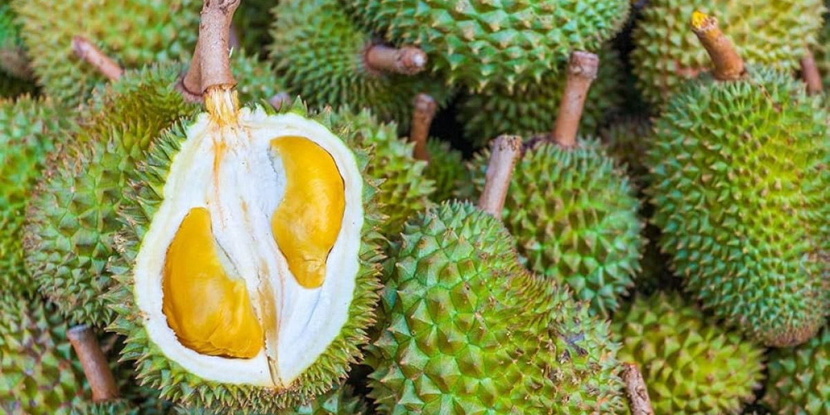 8 Essential Steps to Establish a Successful Durian Plant