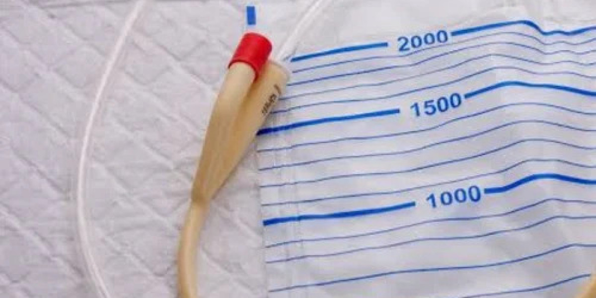 Foley Catheter Market Overview | Industry Insights & Forecast 2025