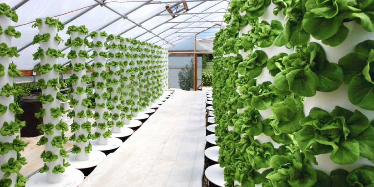 Hydroponics Market Cost Structures: Key Cost Components Affecting Profit Margins and Business Sustainability