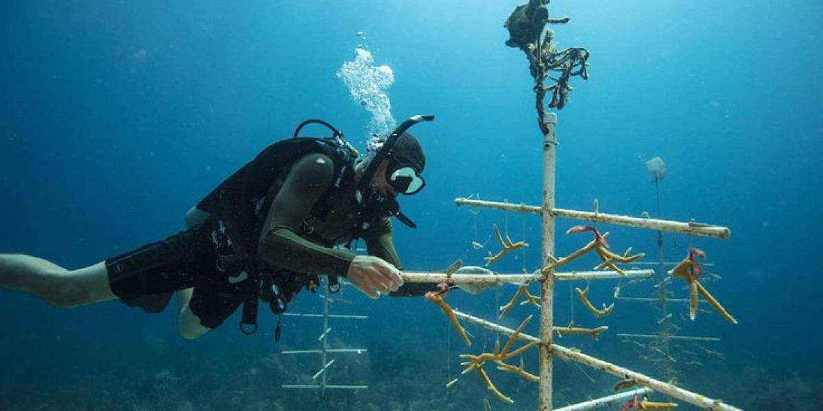 Ausflug mit Red Sea Happy Tour – Unvergessliche Erlebnisse in Hurghada
