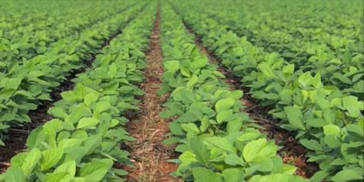 Science and Innovation Transforming Modern Farming