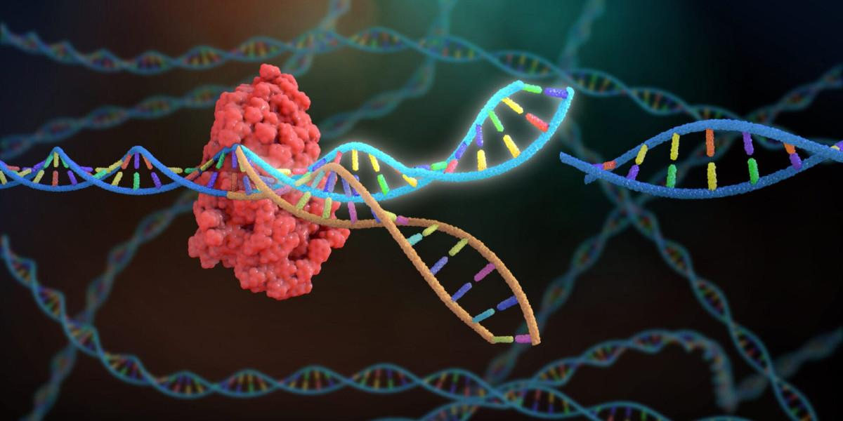 CRISPR Technology Market Growth: Trends, Challenges, and Future Opportunities