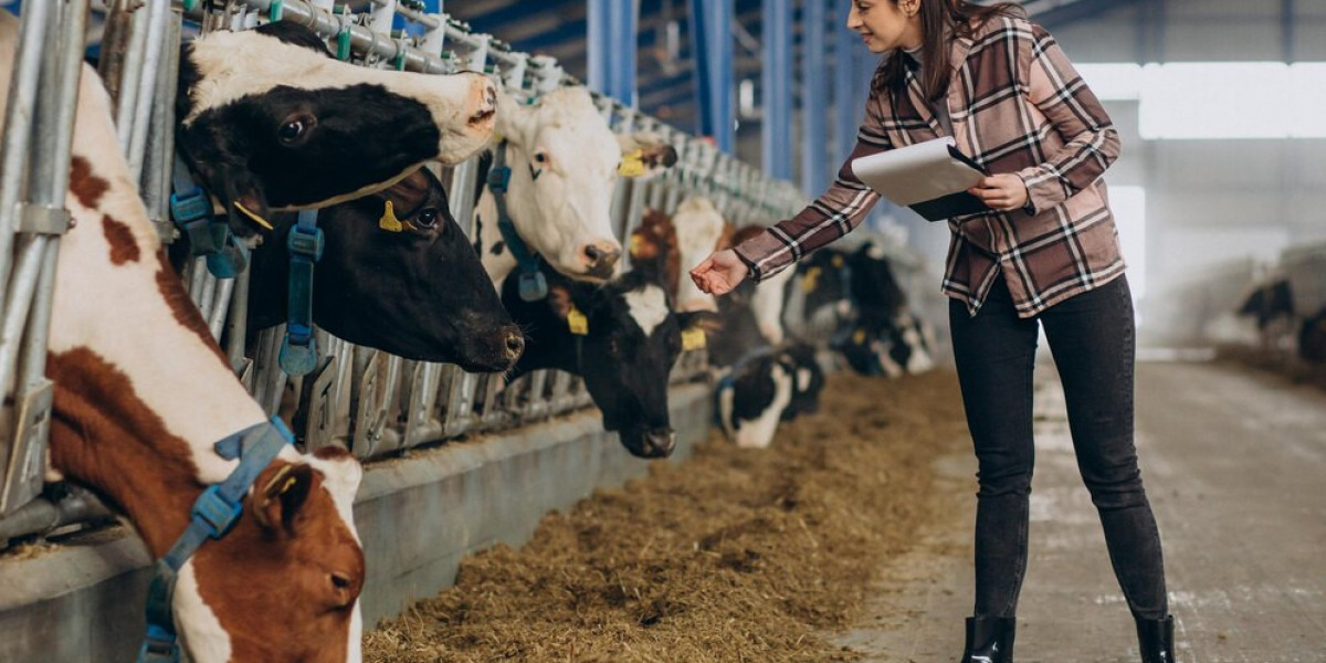 The Growing Impact of Bovine Mastitis Market on the Dairy Industry and Size, Share