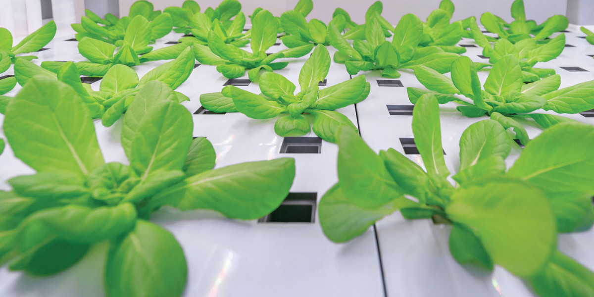 Exploring the Growing Agrigenomics Market: Trends, Opportunities, and Future Outlook