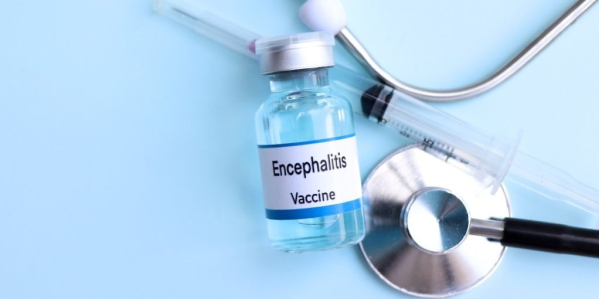 Global Encephalitis Vaccines Market: Trends, Growth, and Key Insights