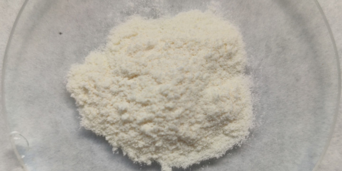 The Rising Demand for Chitosan Market Trends and Future Opportunities