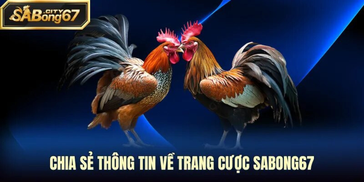 Secrets to Success in Sabong67